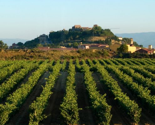 Casa rural a 30 minutos de Rioja Alavesa